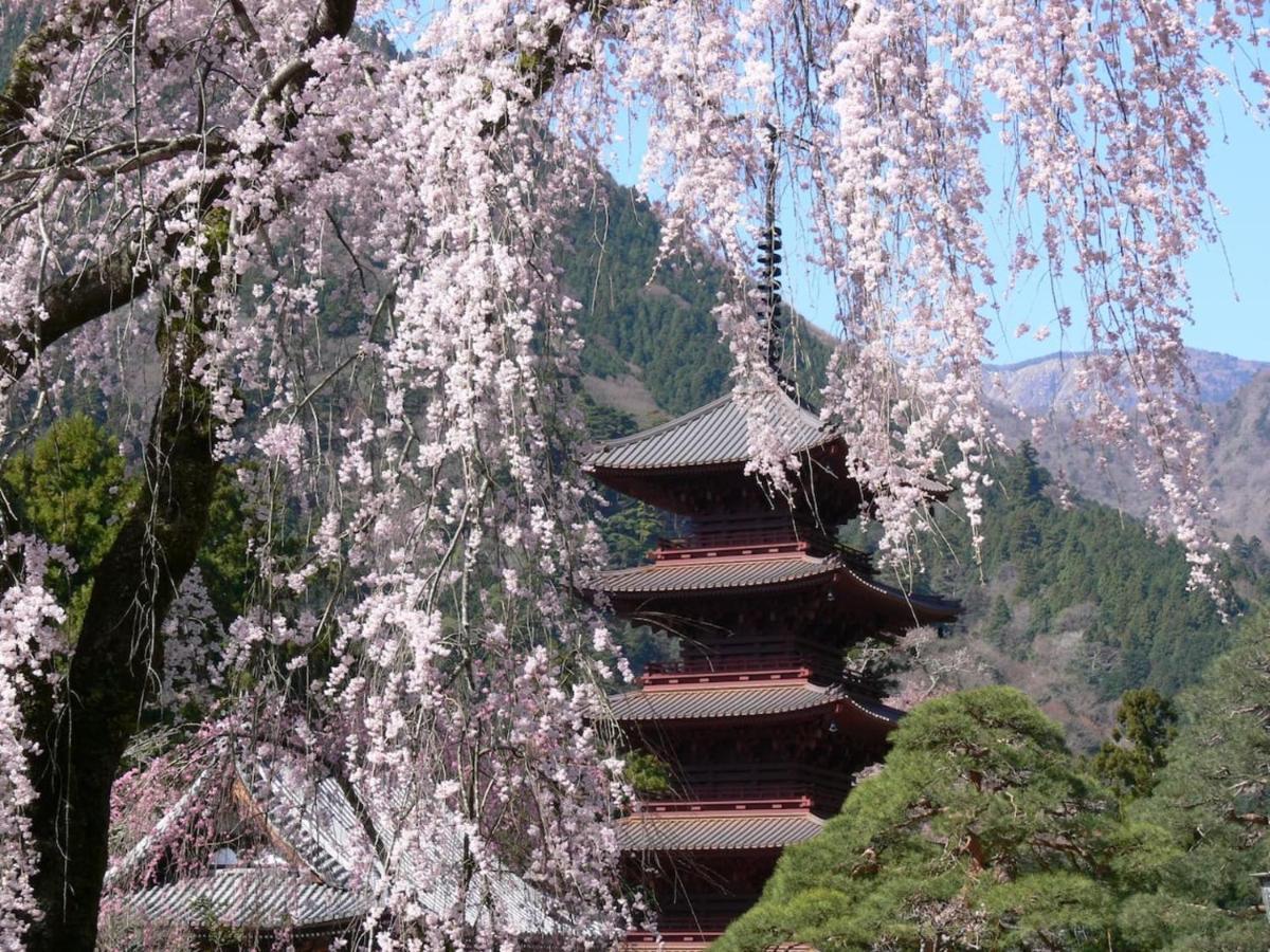 宿坊 端場坊｜Temple Hotel Habanobo Minobu Exteriér fotografie